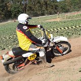 (223)